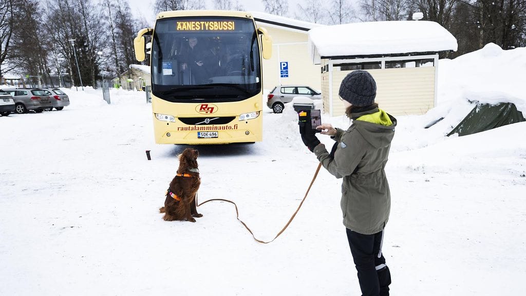 LK 23.1.2024 Satu Laitinen toi vaalikoiransa Taunon kuvattavaksi vaalibussin eteen. Satu on itse jo äänestänyt- ei kuitenkaan Taunoa. Kiertävä äänestysauto Kurkimäen koululla Kuopiossa viimeisenä ennakkoäänestyspäivänä.