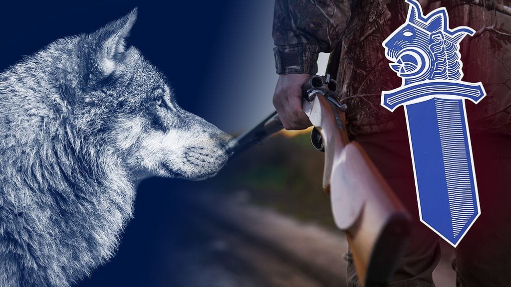 Mies ampui suden, eikä omatunto lakannut kolkuttamasta.