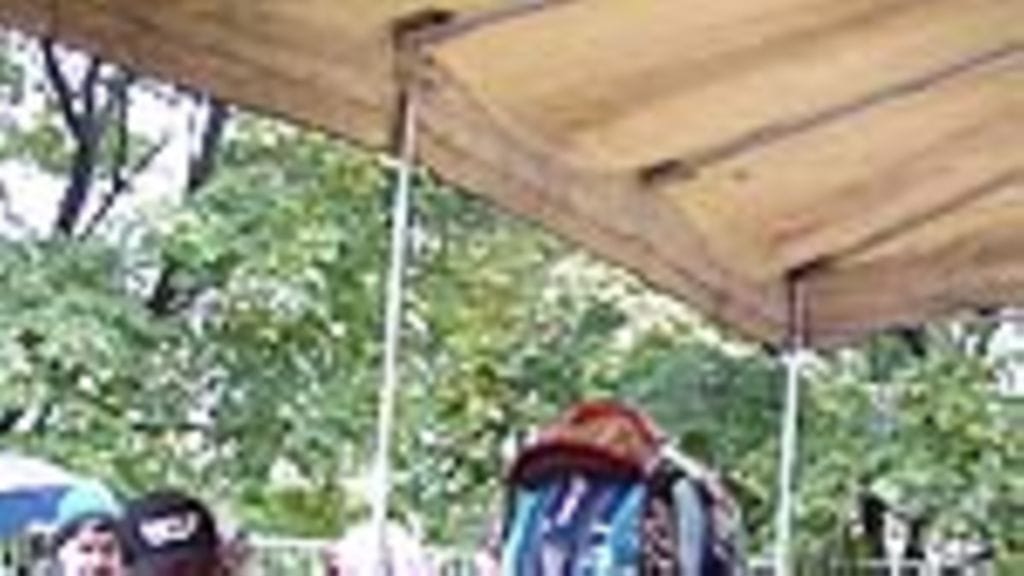 Petri Pohjamo