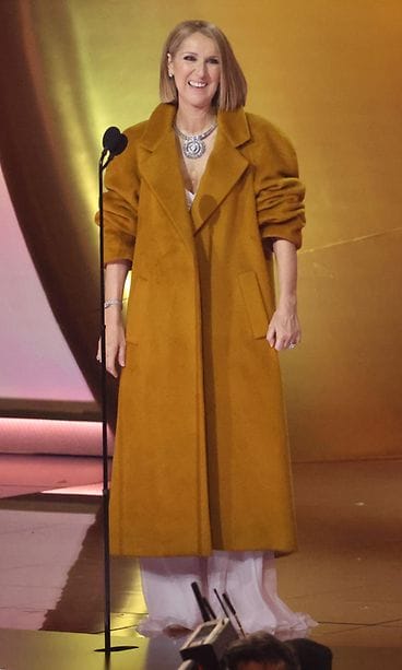 AOP Celine dion grammy (1)
