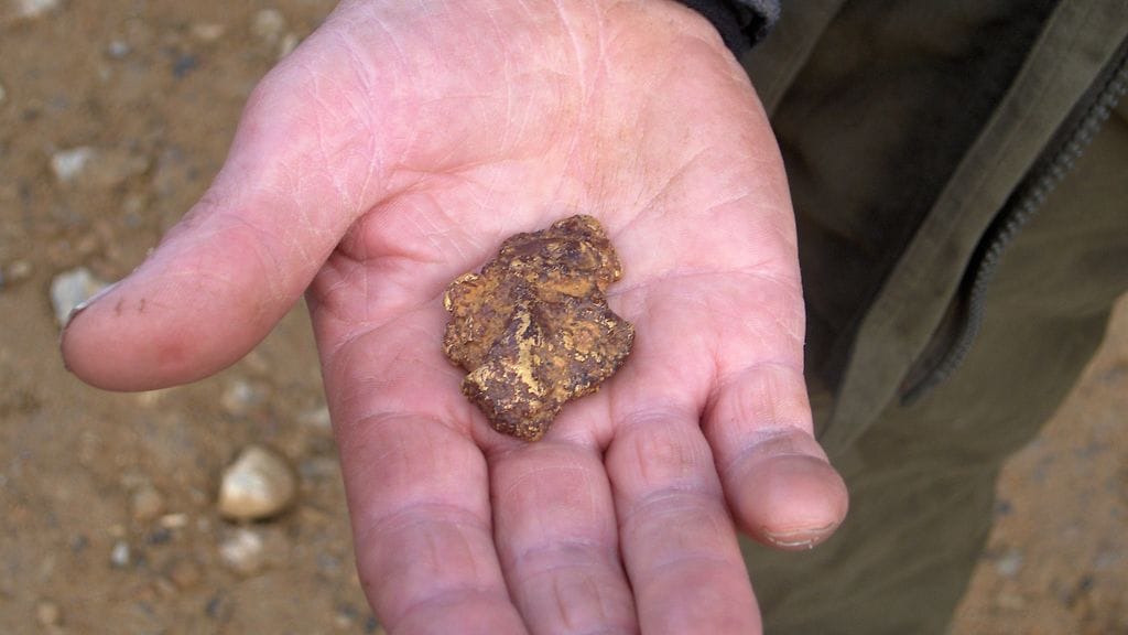 Suomalaiskeräilijät ovat valmiita maksamaan kotimaisesta kullasta. Kuvituskuva.