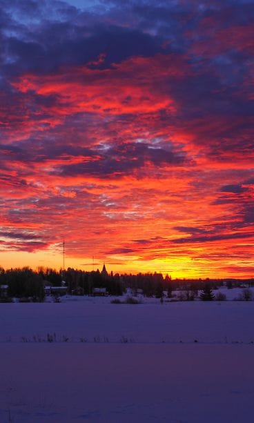Lukijan kuva: Taivas hehkuu punaista aamulla 13.2 kello 8.10 Punkalaitumella Pirkanmaalla. Kuvan aamuruskosta otti Maria Silèn.