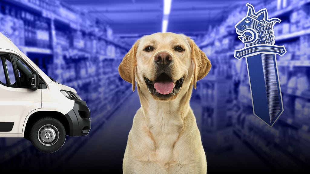 Nuori labradorinnoutaja varastettiin kaupan edustalta uudenvuodenaattona 2022. Kuvituskuva.
