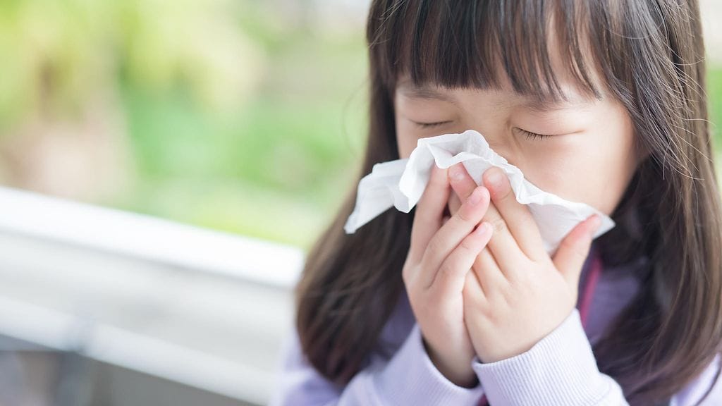 tyttö niistää nenäänsä