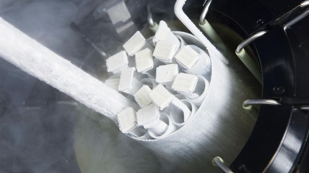 Jäädytettyjä alkioita säiliötankissa. Kuvituskuva.