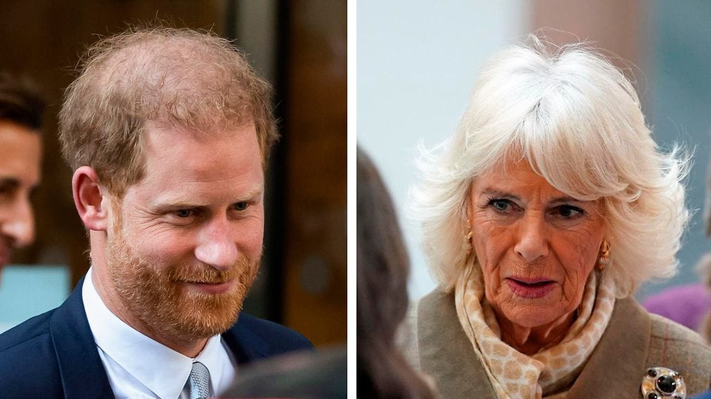 prinssi harry kuningatar camilla