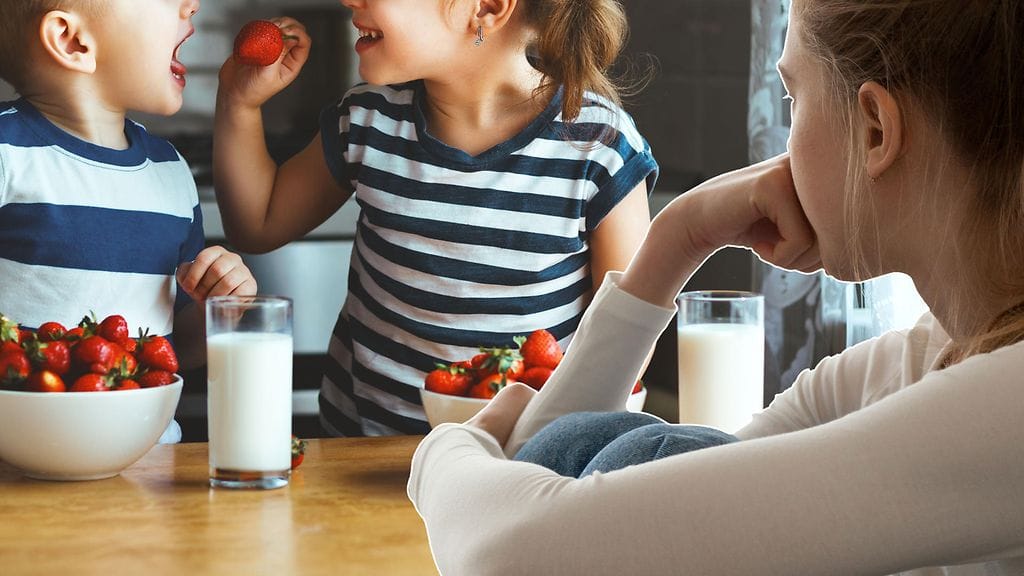 Perheet olivat tutkimuksessa hyvin perehtyneitä erilaisiin suosituksiin. Kuvituskuva.