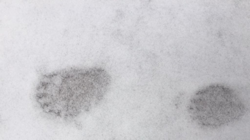 29022024 PASI TAMMINEN AHMA (2)