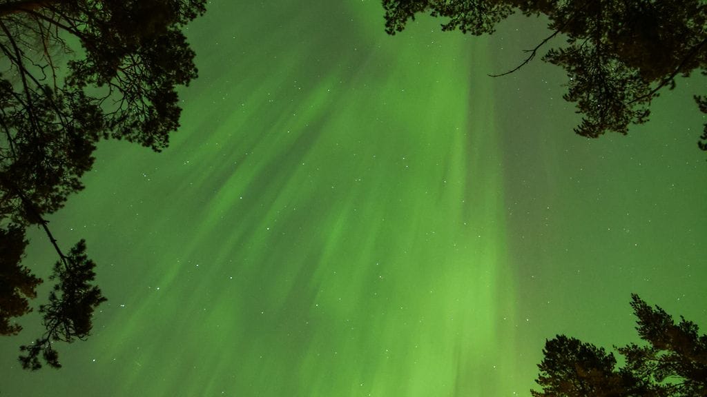 Nämä revontulet tallensi Johan Gronqvist viime maaliskuussa.