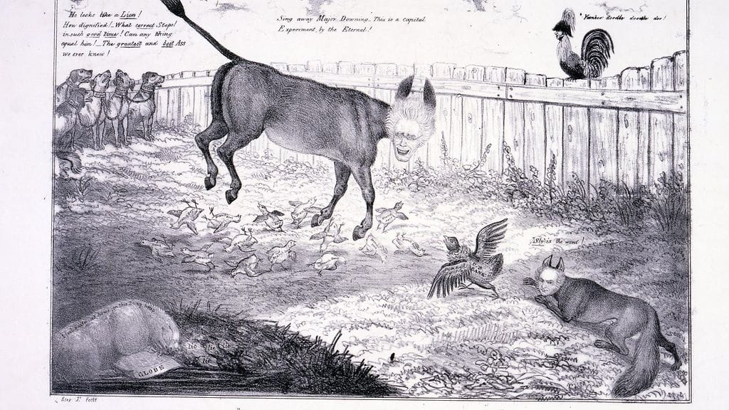 Yhdysvallat norsut ja aasit (2)