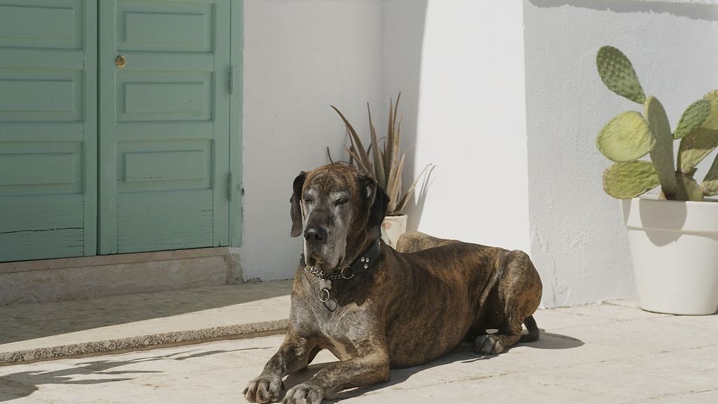 unelmia-italiassa_reino