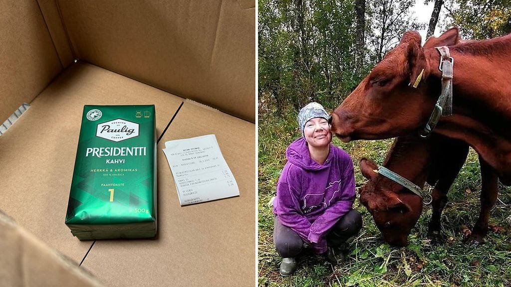 Marko Aholan noutotilaus ruokakaupasta ei mennyt ihan putkeen. Kati puolestaan pelasti lehmiä Norjasta.