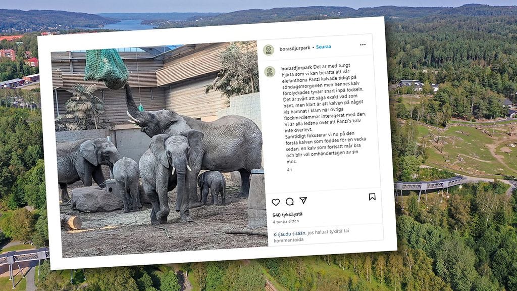 Boråsin eläinpuisto sijaitsee Länsi-Ruotsissa.