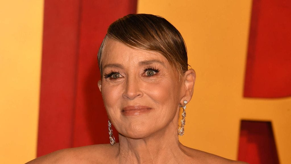 Sharon Stonea syytetään kovasta ylinopeudesta ja autonsa vaarallisesta kuljettamisesta.