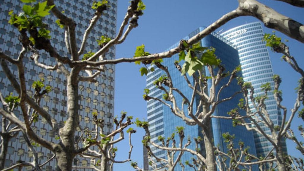 Kuva/Hilkka Heikinheimo