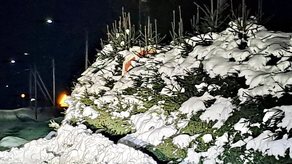 Poliisin julkaisemassa kuvassa stop-merkkiä on hyvin vaikea erottaa puiden keskeltä.