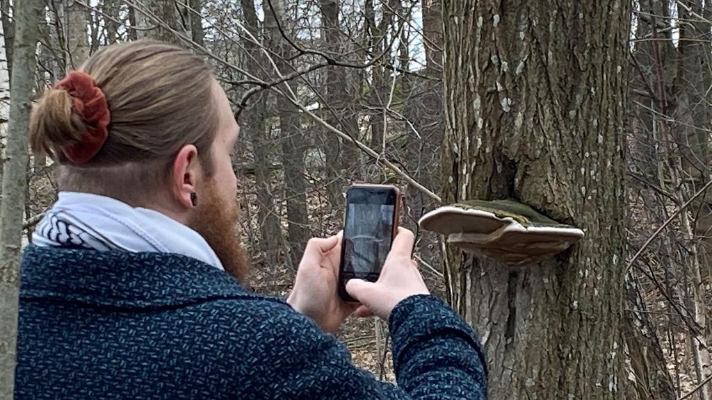 100 lajia -haaste, luonto