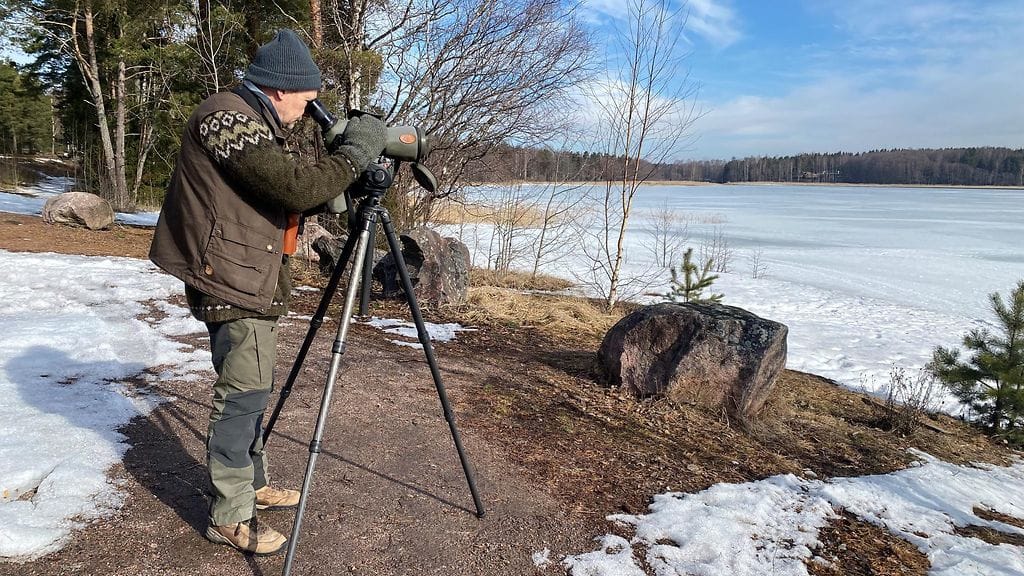 Jan Södersved, BirdLife Suomi