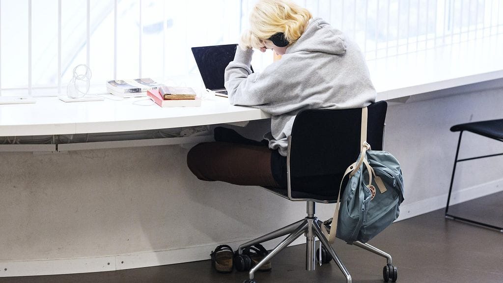 Aloituspaikoista yli 42 000 on suunnattu ylioppilastutkinnon, ammatillisen tutkinnon tai vastaavan ulkomaisen tutkinnon suorittaneille.