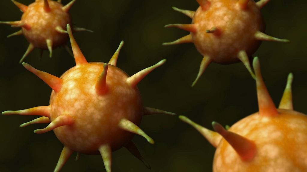 Kuvituskuvaa mononukleoosista, joka voi aiheuttaa rajun kuumetaudin.