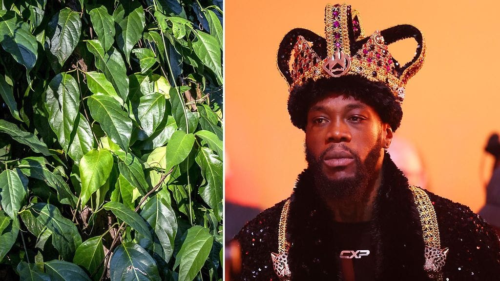 Nyrkkeilytähti Deontay Wilderin valmentaja Malik Scott sanoo psykedeeliseksi huumausaineeksi luokitellun ayahuascan olleen Wilderin joulukuun yllätystappion takana ja tämän myötä Wilder olisi menettänyt lähes sata miljoonaa euroa.