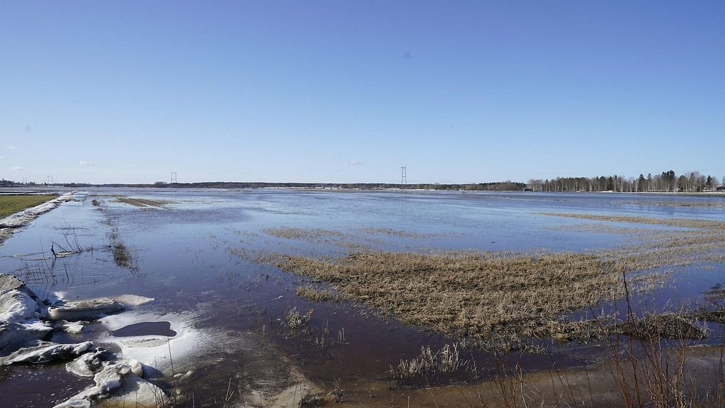 Lapuanjoki tulvi melko säyseästi Alahärmän Laturinkylässä 31. maaliskuuta 2021., LEHTIKUVA / TIMO AALTO