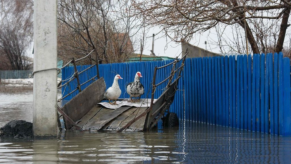 Näkymä tulvan alle jääneestä Pokrovkan taajamasta noin 90 kilometrin päässä Petropavlin kaupungista Pohjois-Kazakstanissa lähellä Venäjän rajaa.