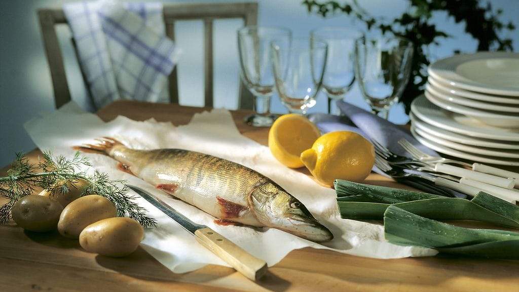 Hauki on valitettavan aliarvostettu kala, sanoo keittiömestari Mikko Pakola.