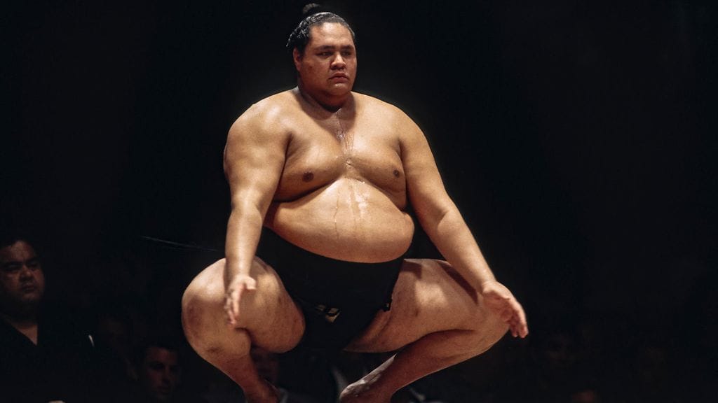 Akebono oli aktiivivuosinaan pelottava näky. Kuva vuodelta 1993.