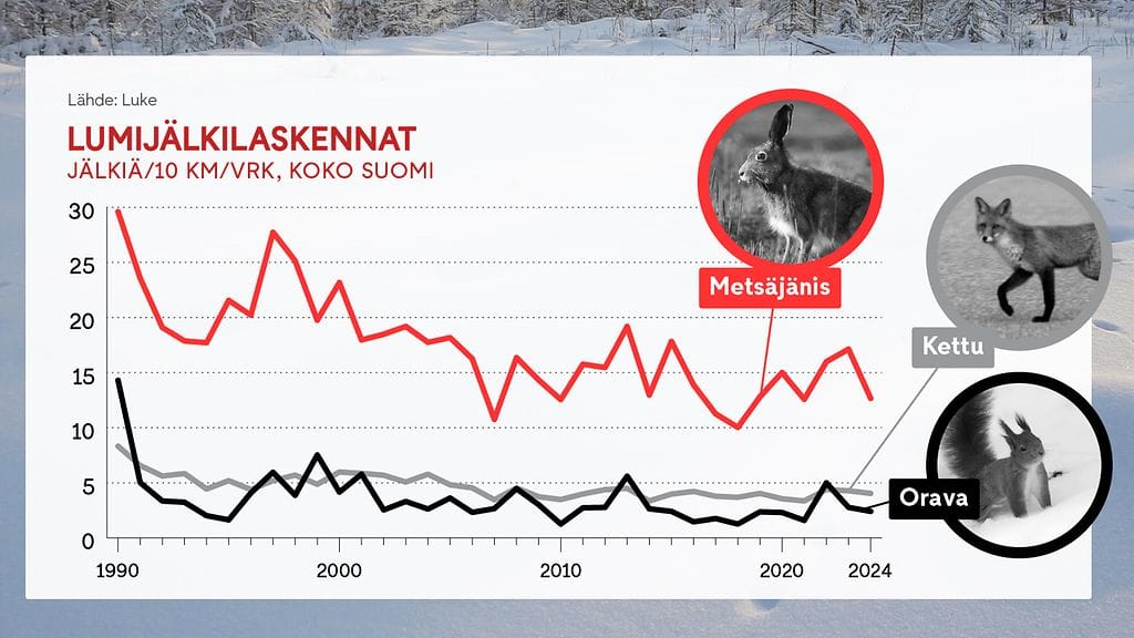 1104 Lumijälkilaskelmat grafiikka Luke