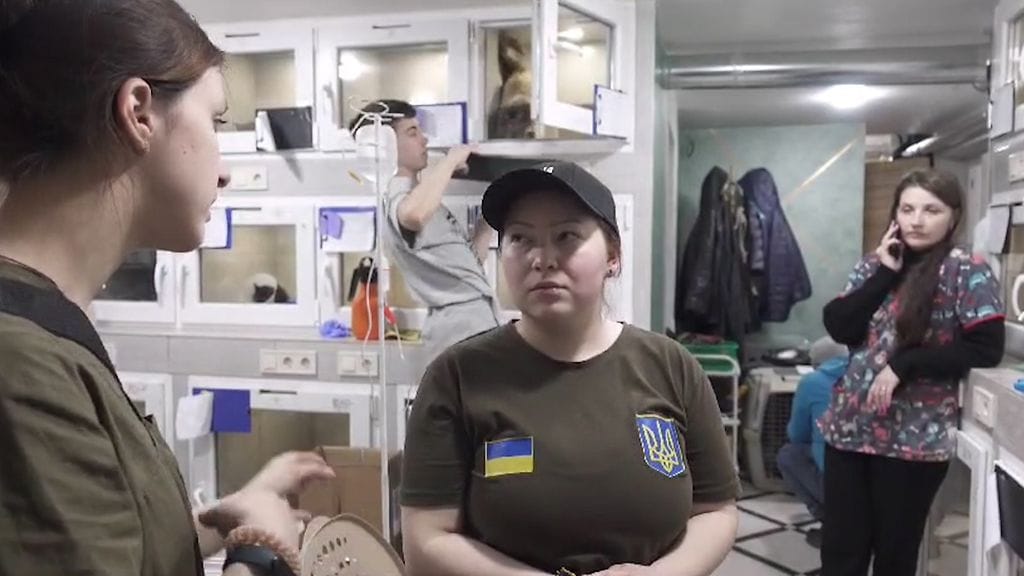 1204 PROAID NETWORK RY UKRAINA RAAKEL TASANEN