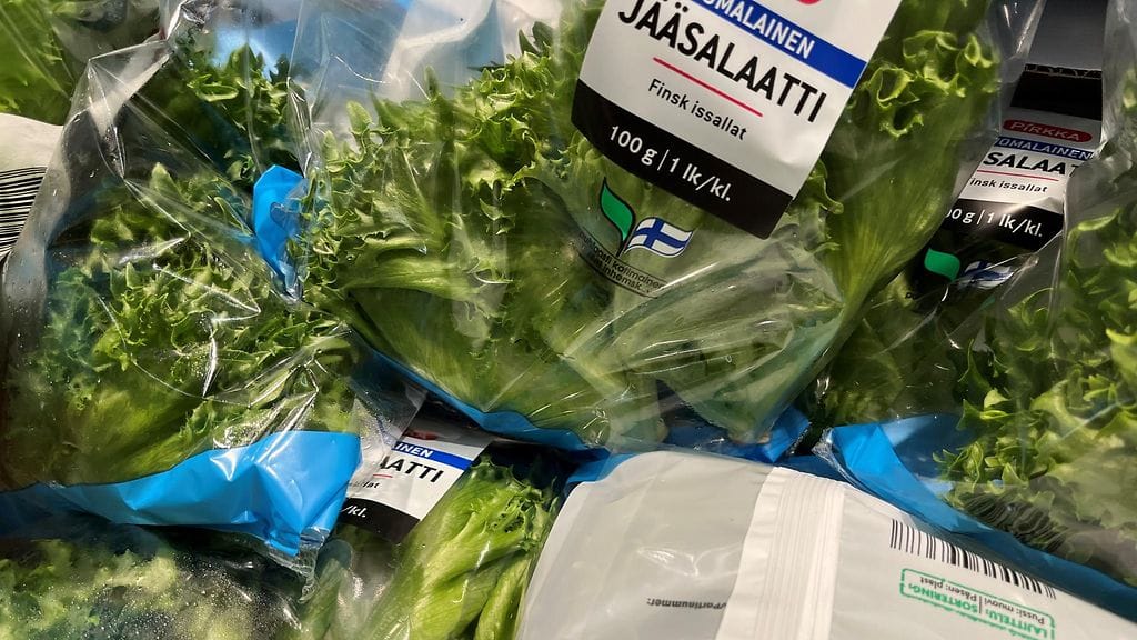 salaatti ruokakauppa jääsalaatti