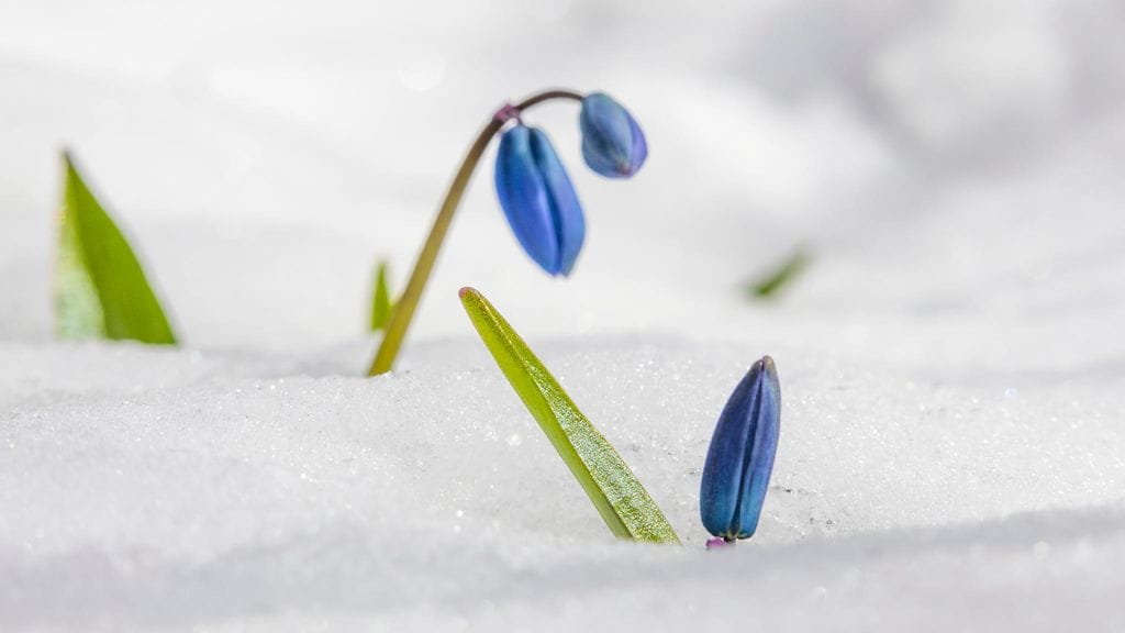 Lukijan kuva Juha Laitalainen Jyväskylä