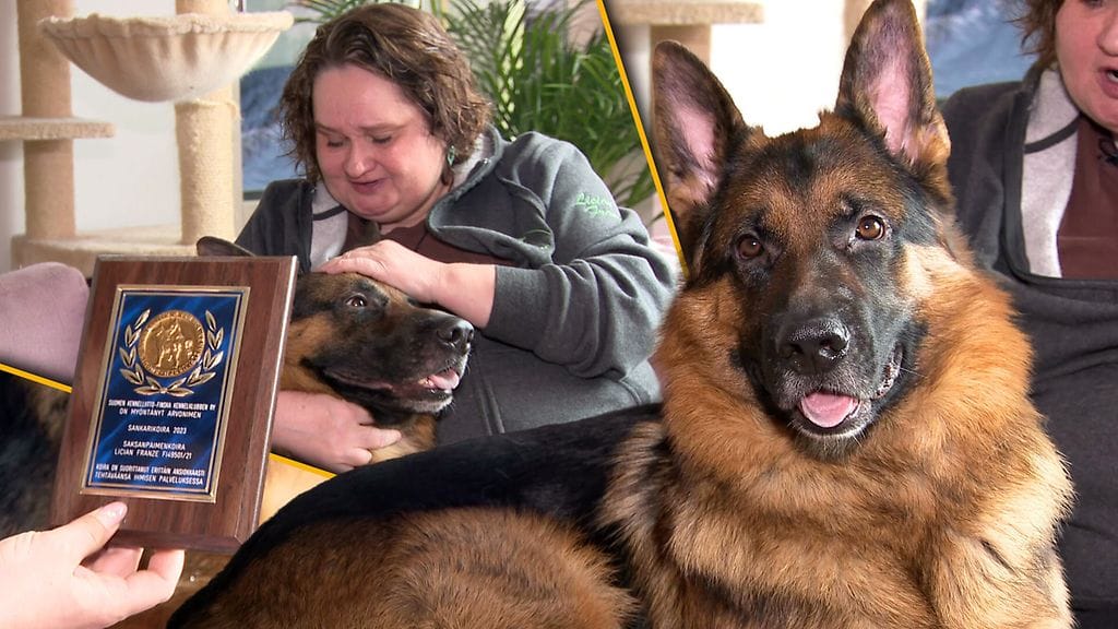 MTV Sankarikoira Roope Husu