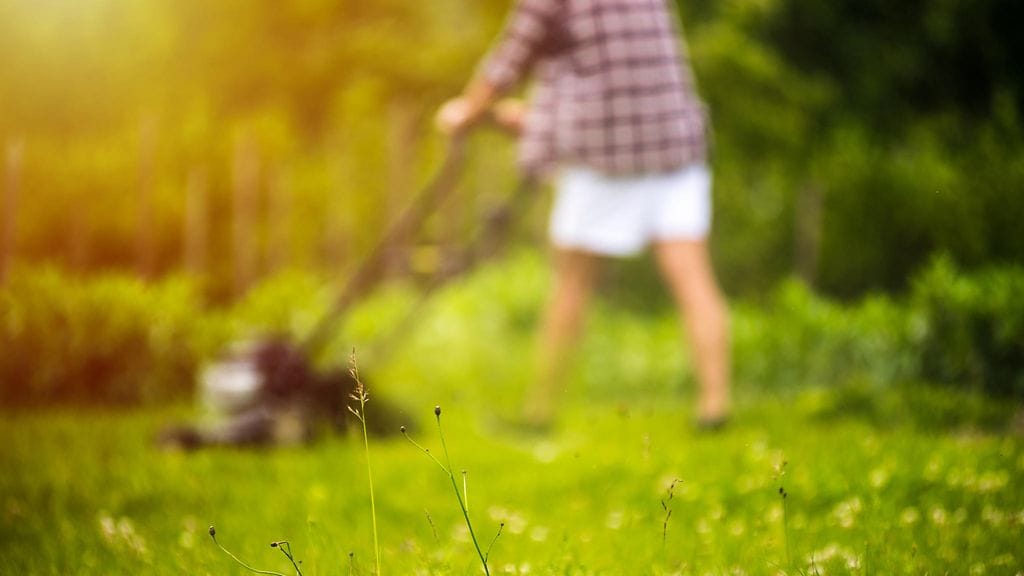 ruohonleikkuu pihalla kesällä