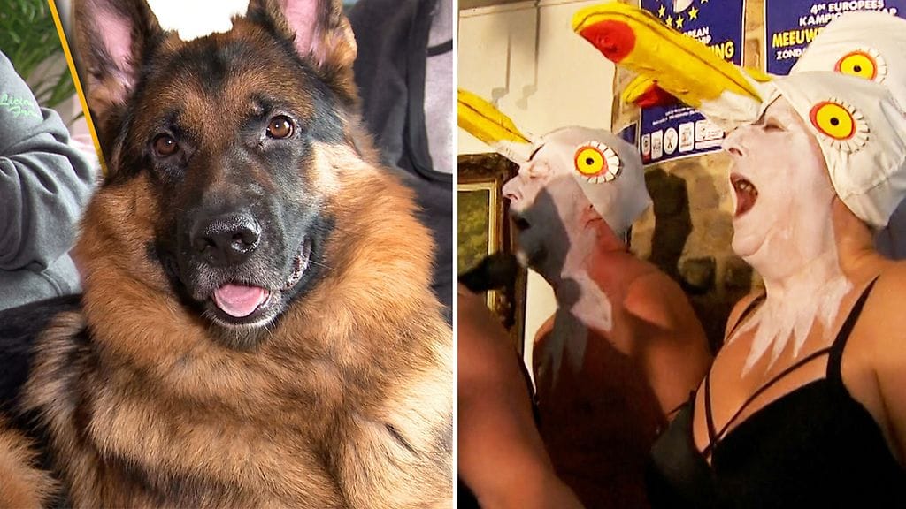 Tällä viikolla olemme kertoneen sankarikoira Roopen tarinan ja uutisoineet Euroopan parhaasta lokinmatkijasta.