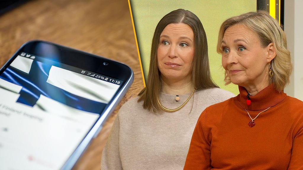 Mitä meistä ajatellaan ja millaista Suomi-tietoa netistä haetaan?