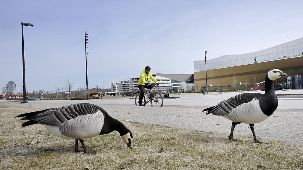 Helsingin keskusta huhtikuussa. Kuvituskuva.