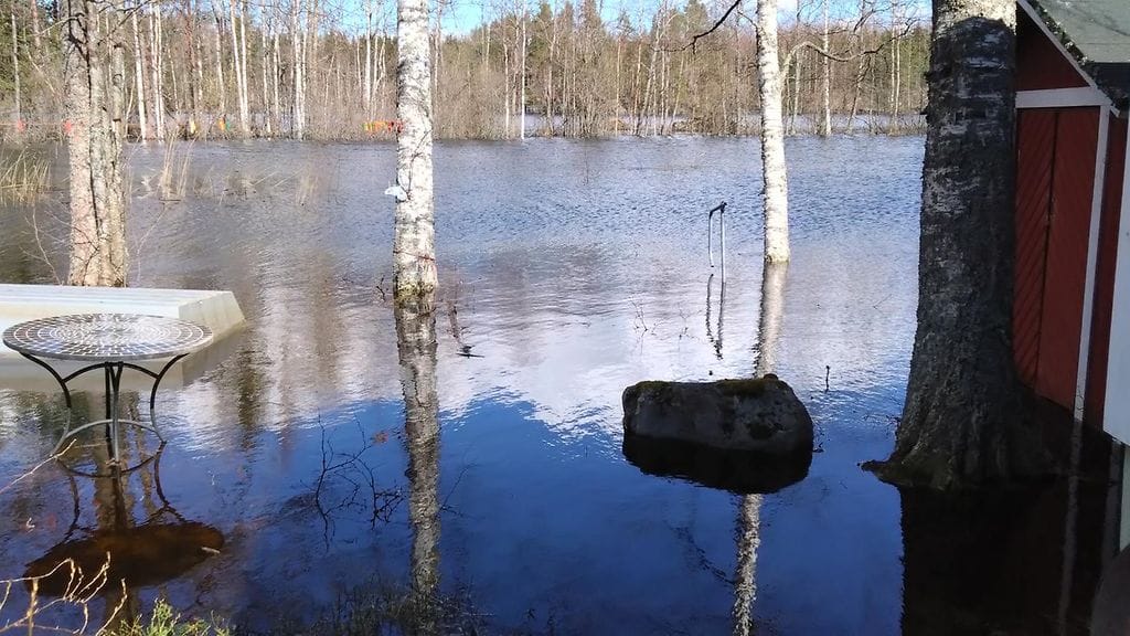 Ilkkaa odotti mökkisaaressa Kyyvedellä tulviva näky.