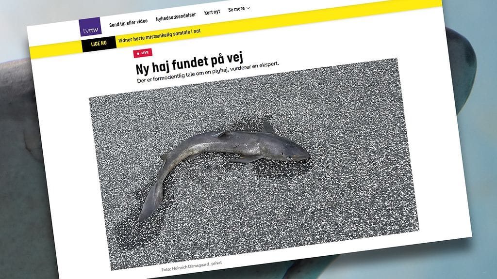 Kuvakaappaus TV Midvest -sivustolta.
