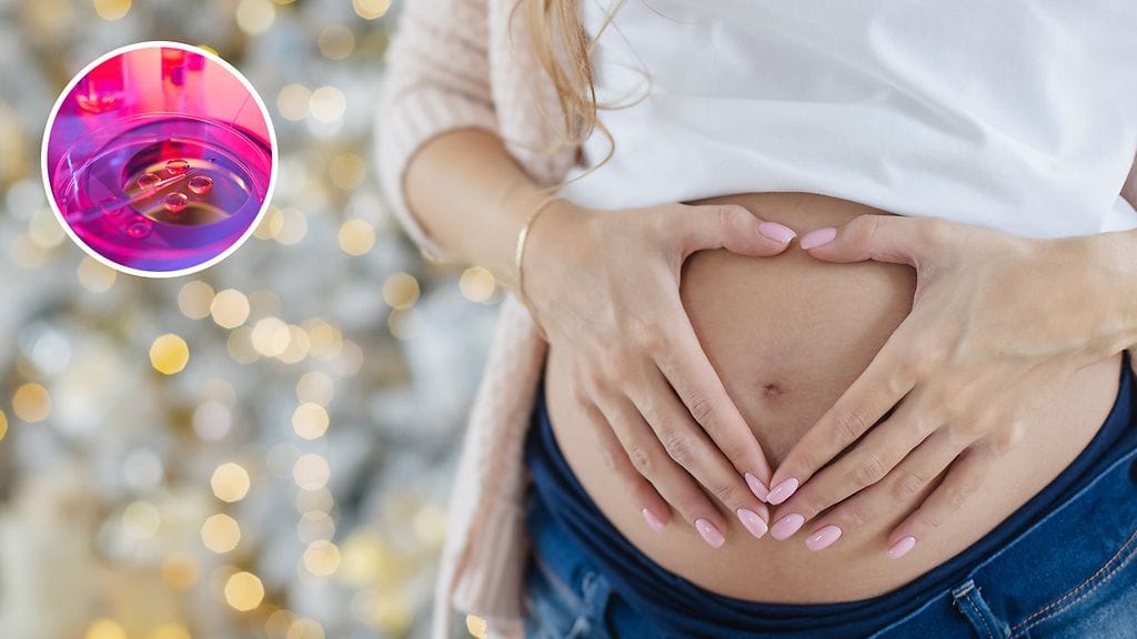 Munasolujen luovuttajien haittakorvausta nostetaan noin 250 eurosta 350 euroon vuodesta 2026 alkaen.