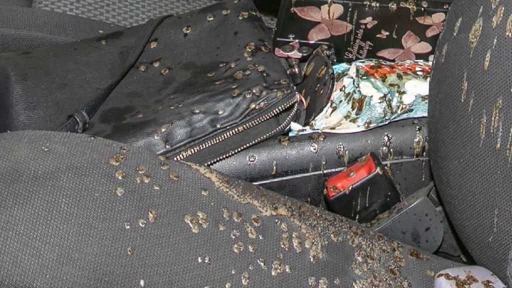 Vantaan äidinmurha 10