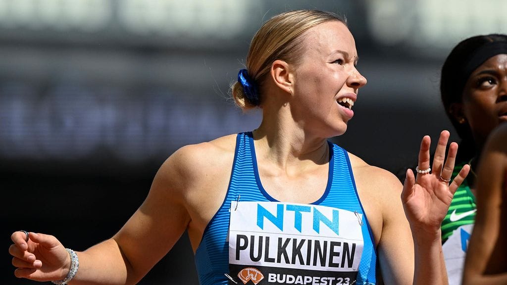 Aino Pulkkinen paineli SE:n.