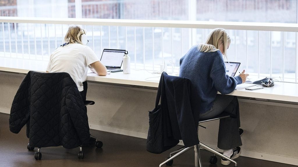 Hallitus esittää muutoksia yliopistolakiin ja ammattikorkeakoululakiin.