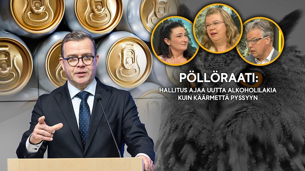 Pöllöraati: Hallitus ajaa uutta alkoholilakia kuin käärmettä pyssyyn
