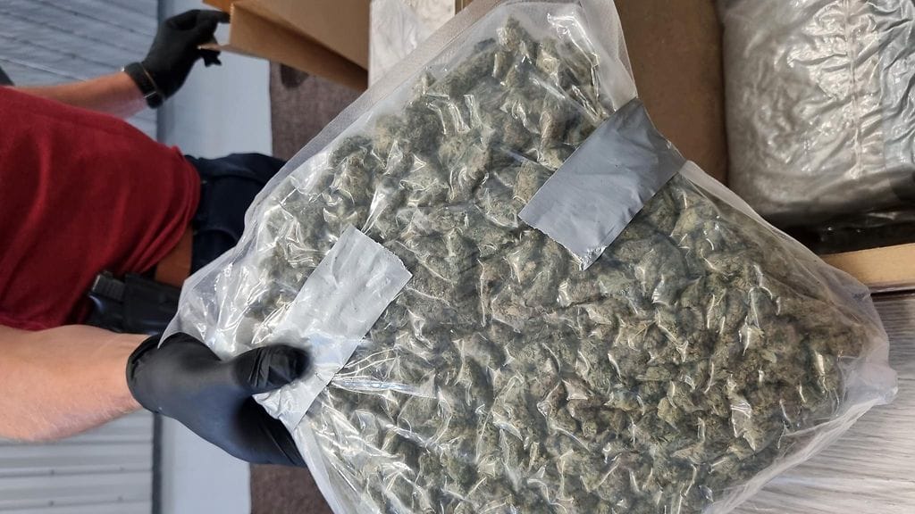Suomeen salakuljetettua kannabista.