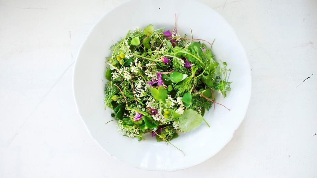 Kuvan salaatissa pihasauniota, vuohenputken kukintoja, maahumalaa, ketunleipää, maitohorsmanlukkia ja siankärsämöä.