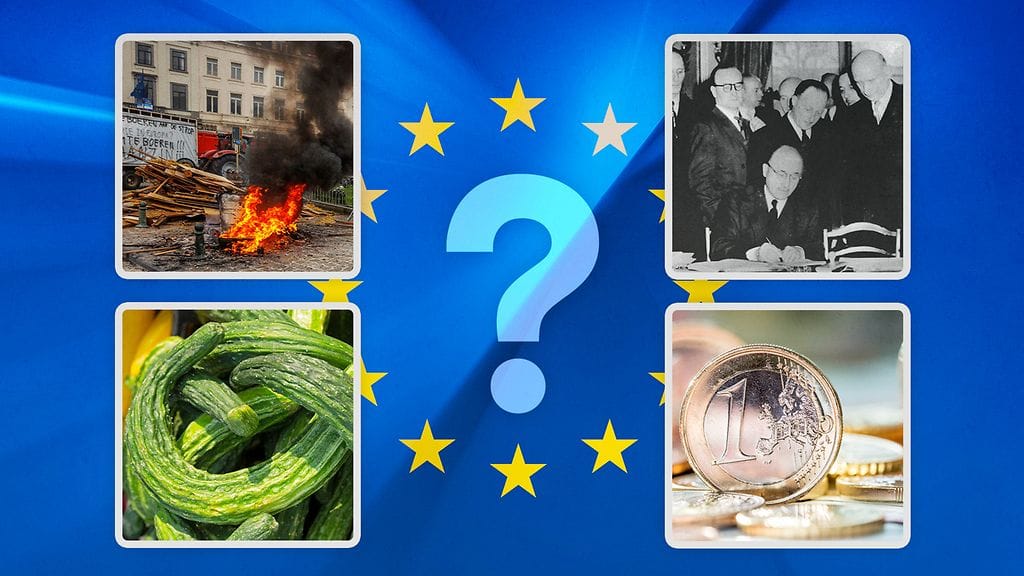 Euroopan unioni vaikuttaa suomalaistenkin elämään monella osa-alueella. EU:n parlamenttivaalit järjestetään 6.–9. kesäkuuta 2024.