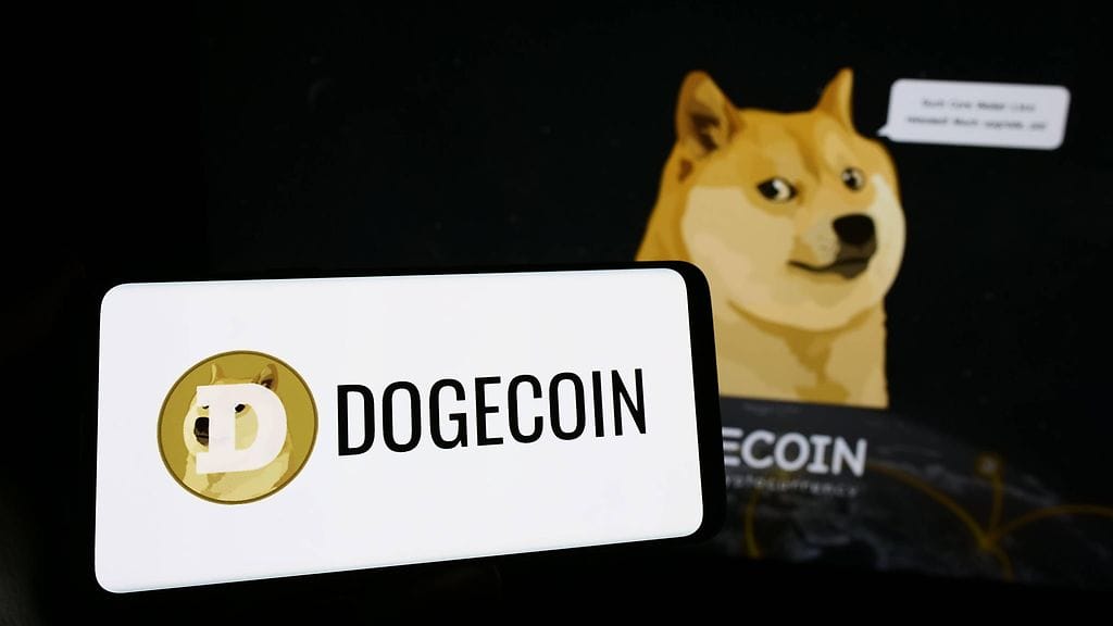 Kasboshun ympärille perustettiin myös kryptovaluutta dogecoin.