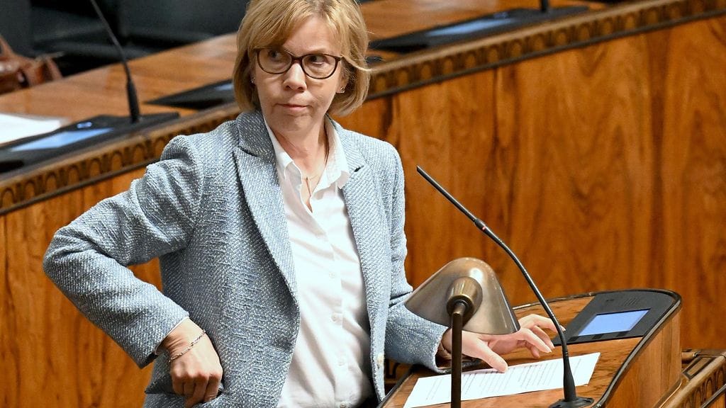 Anna-Maja Henriksson eduskunnassa 25.5.